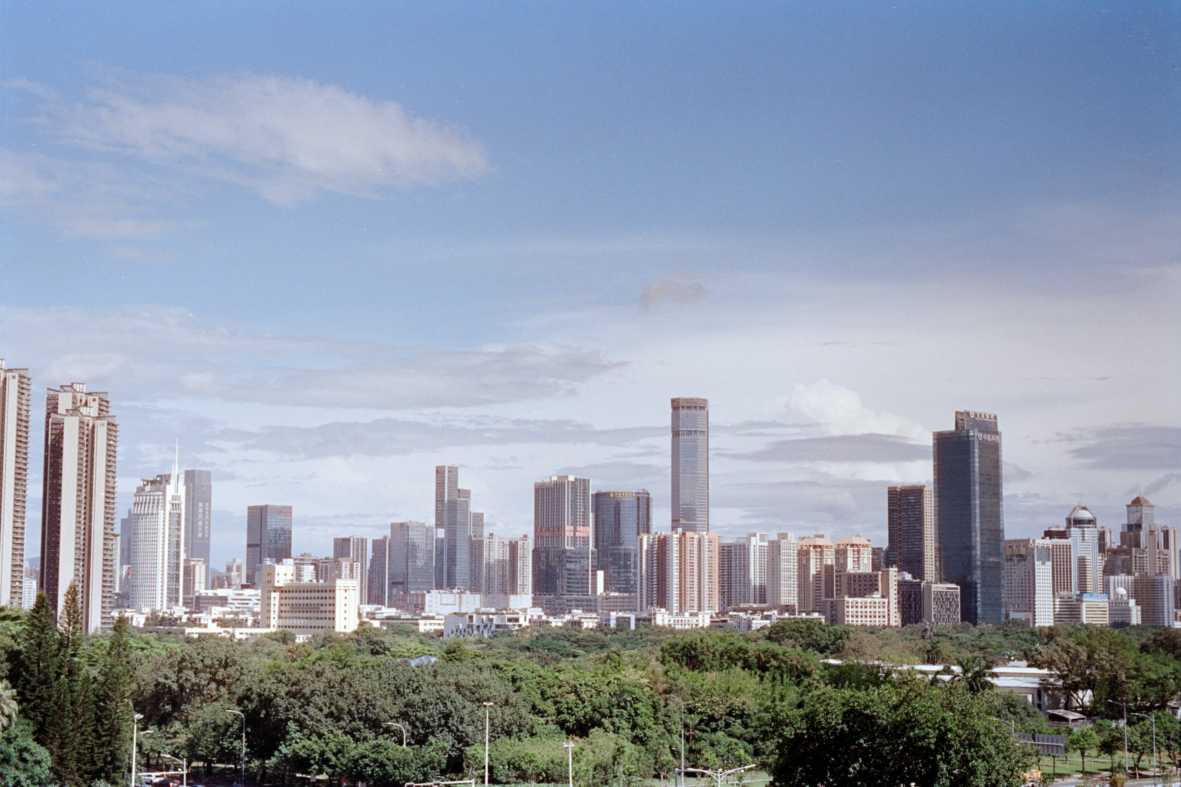 Skyline de ciudad al fondo, copas de árboles en primer plano