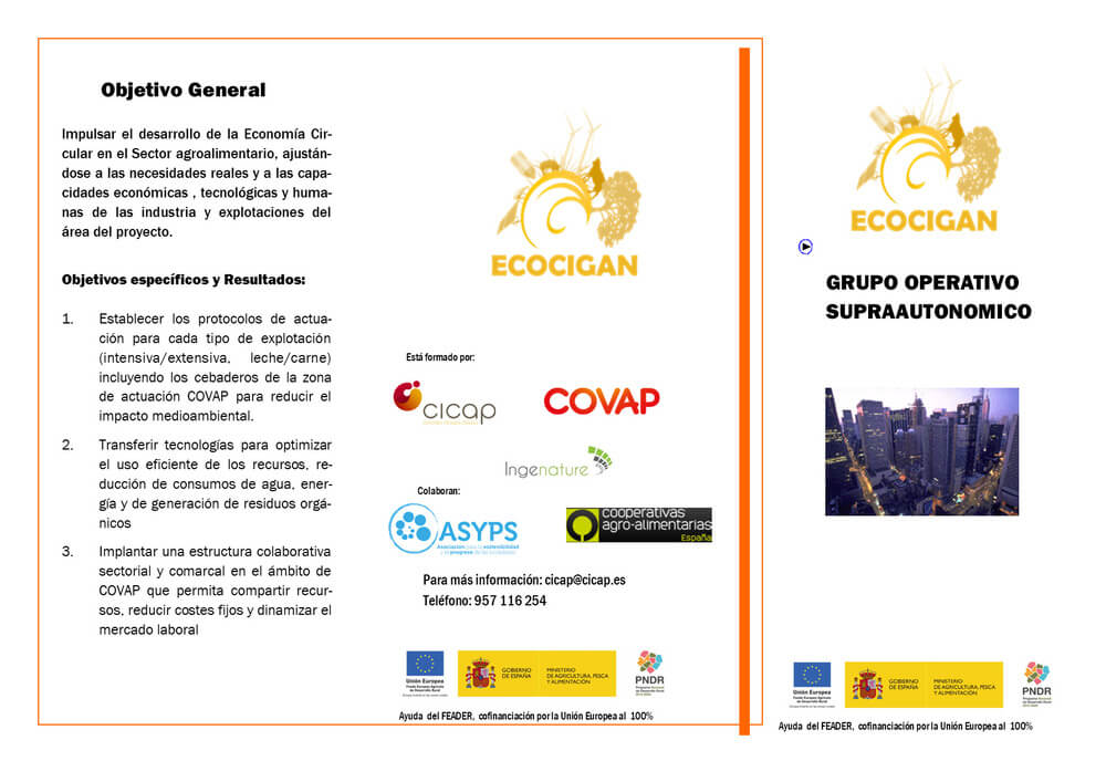 Foto del proyecto