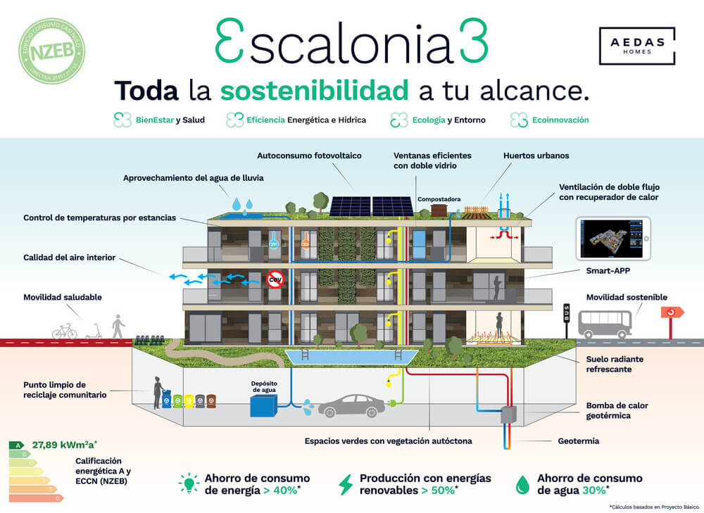Escalonia 3